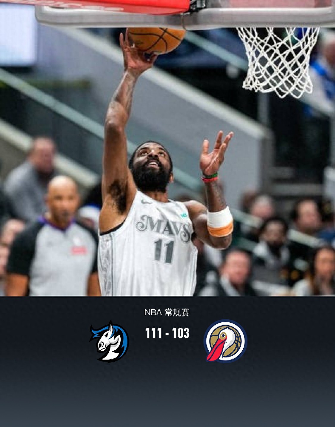 新奥尔良鹈鹕队_nba新奥尔良鹈鹕队阵容_新奥尔良鹈鹕队主场球馆